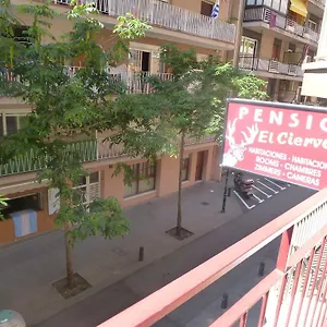 https://pension-el-ciervo.topcostabravahotels.com